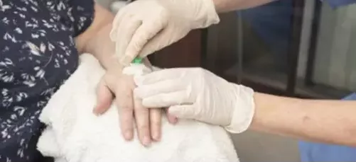 Foto de Práctica de inyeccion ultravenosa a paciente