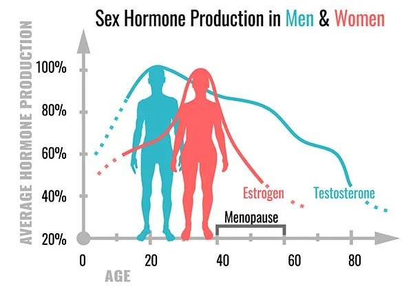 Ilustración de producción hormonal en hombres y mujeres 