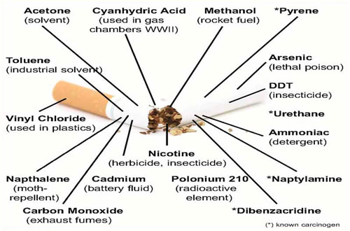 Caracteristicas de cigarrilo