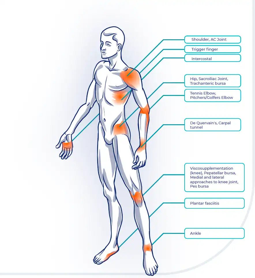 Guia cuerpo humano